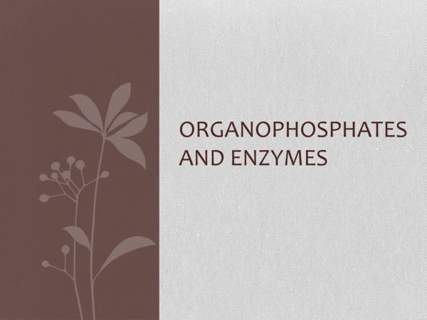 Organophosphates and Enzymes