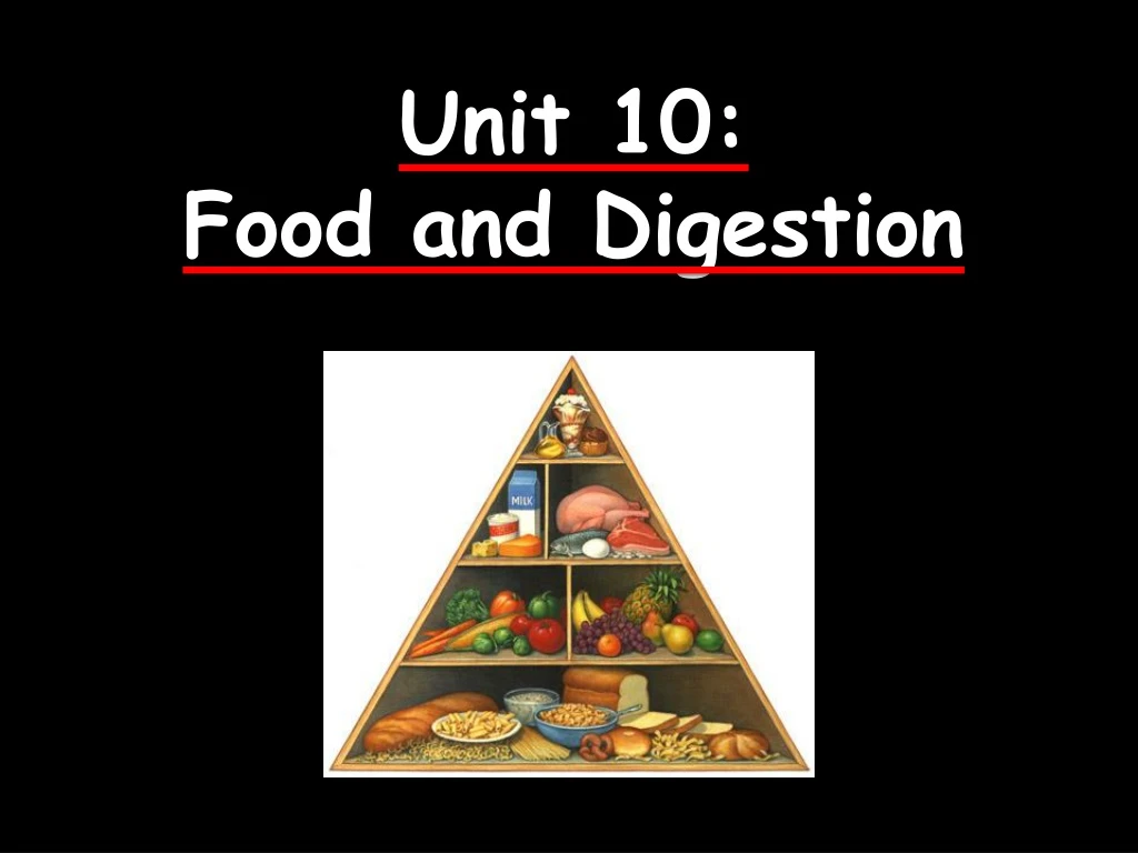 unit 10 food and digestion
