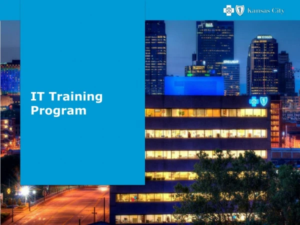 IT Training Program