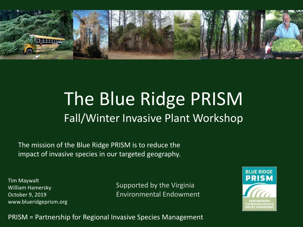 the blue ridge prism fall winter invasive plant workshop
