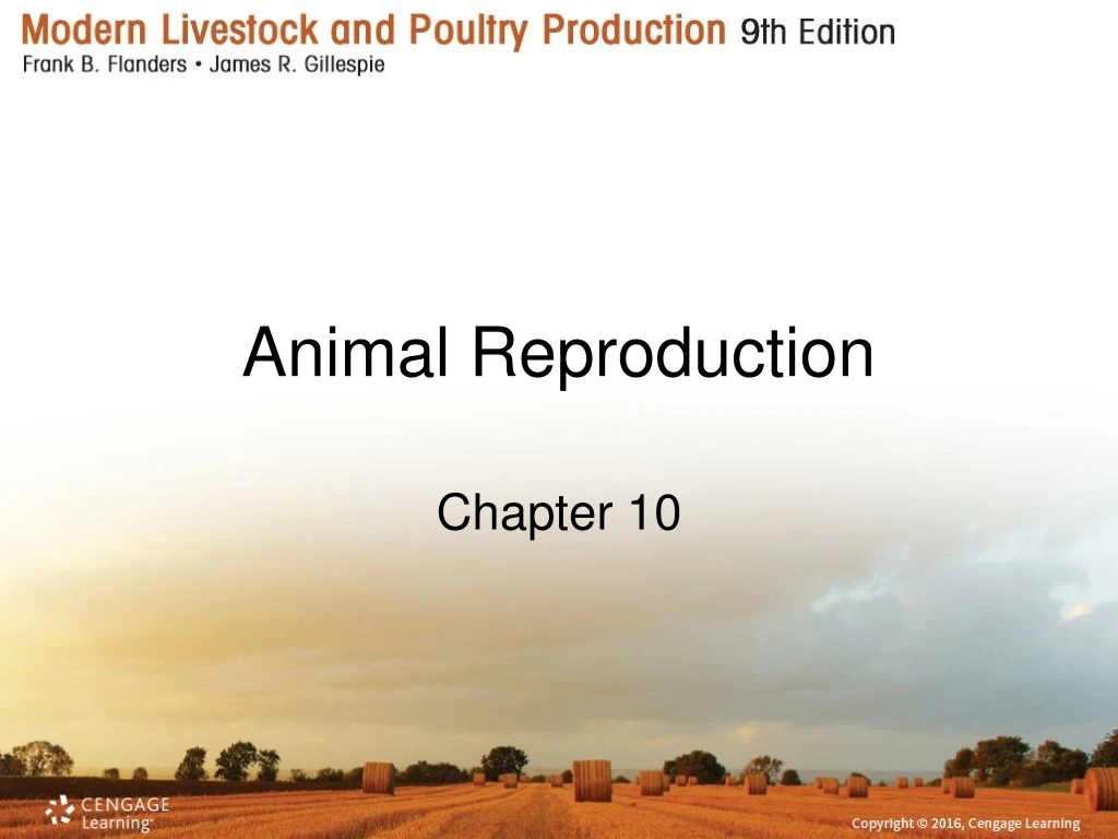 animal reproduction