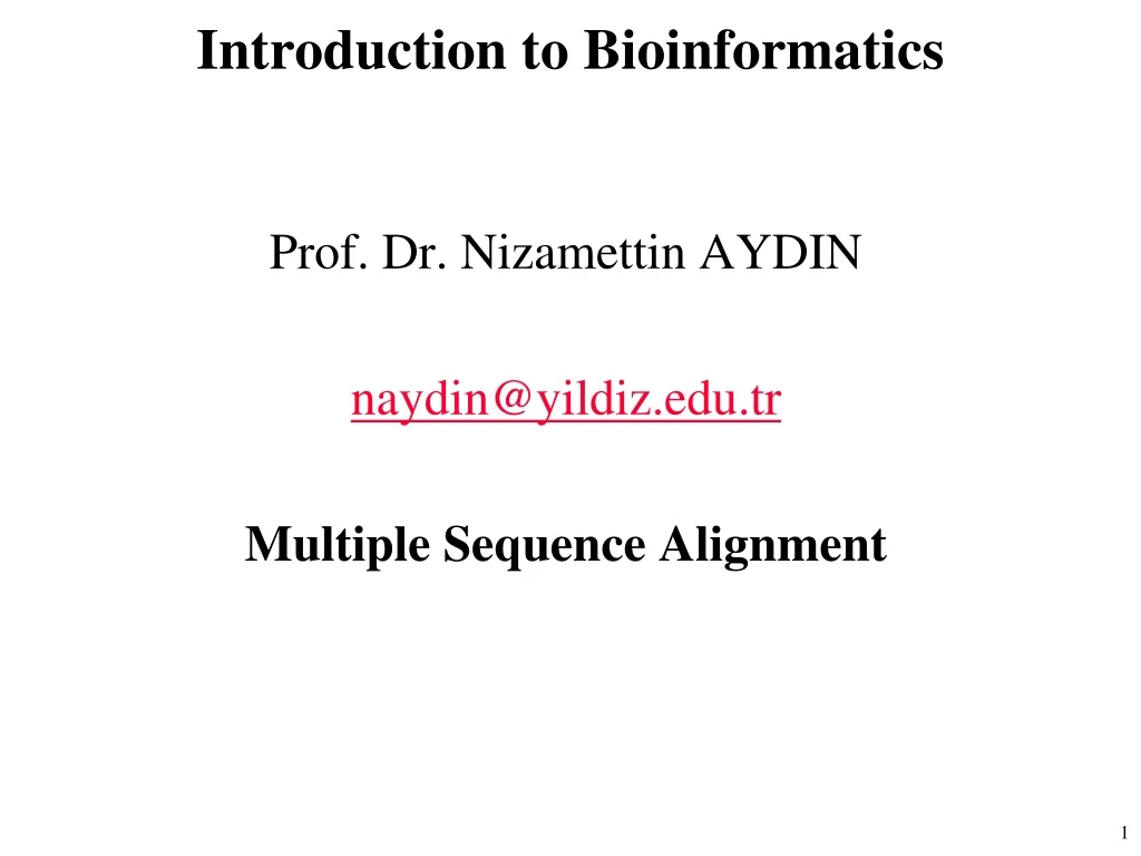 introduction to bioinformatics