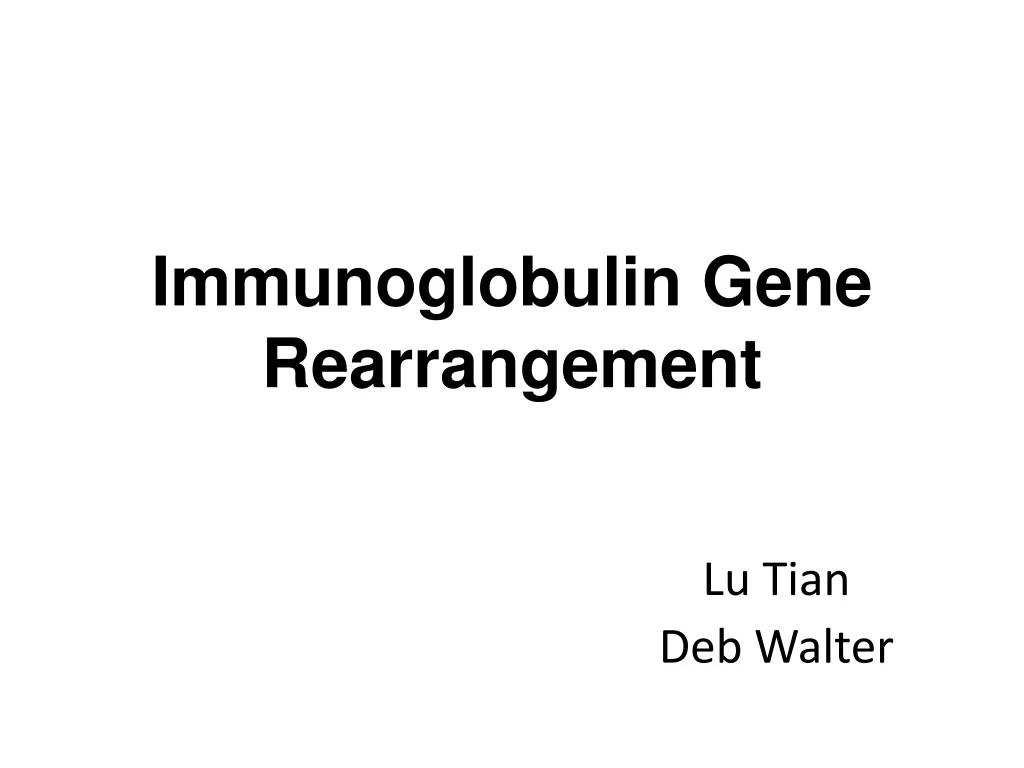 immunoglobulin gene rearrangement