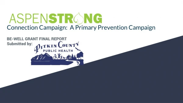 Connection Campaign: A Primary Prevention Campaign