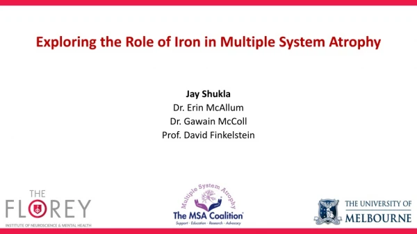 Exploring the Role of Iron in Multiple System Atrophy