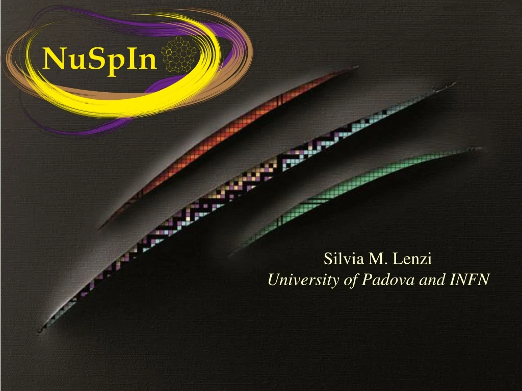 silvia m lenzi university of padova and infn