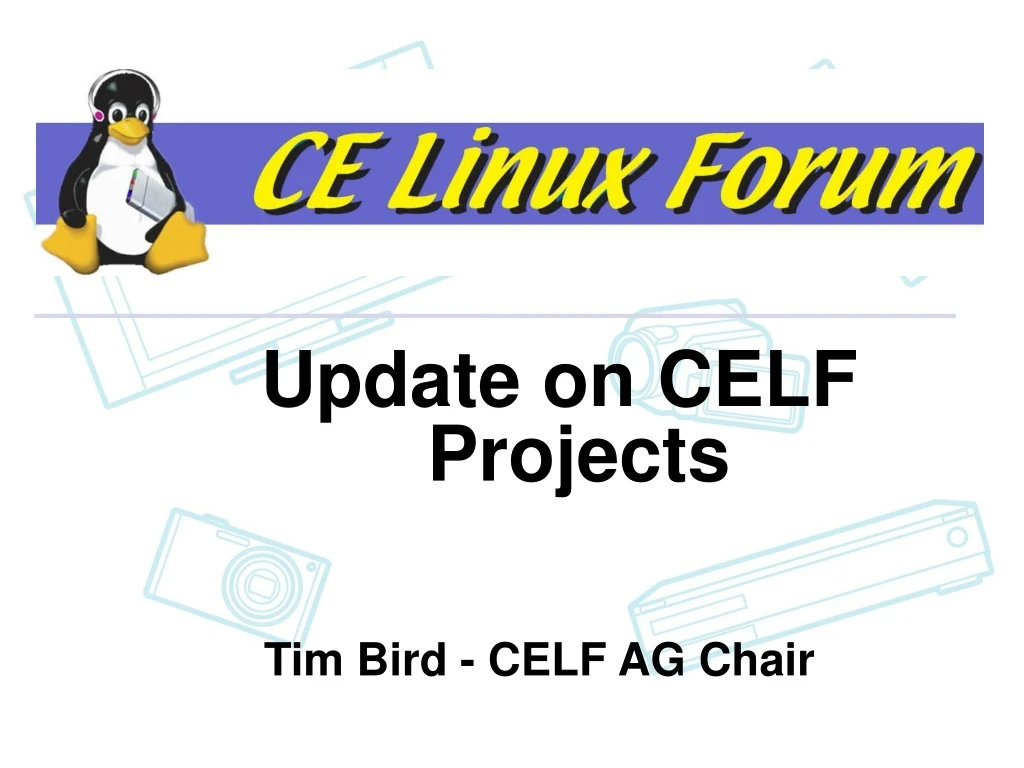 update on celf projects
