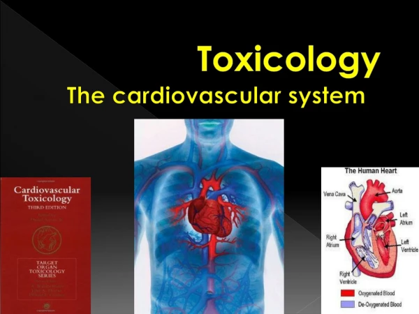 Toxicology