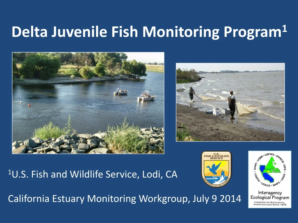delta juvenile fish monitoring program 1