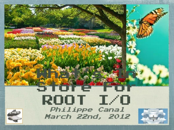 What’s In Store For ROOT I/O
