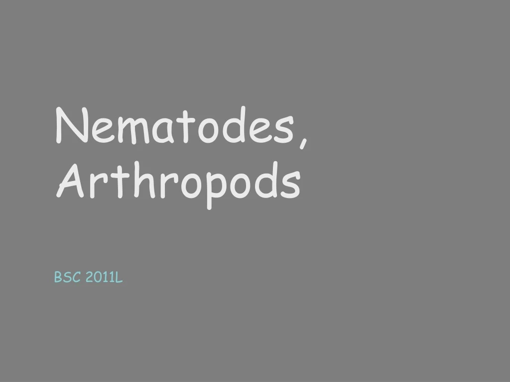 nematodes arthropods