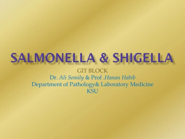Salmonella &amp; shigella