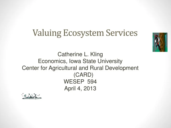 Valuing Ecosystem Services