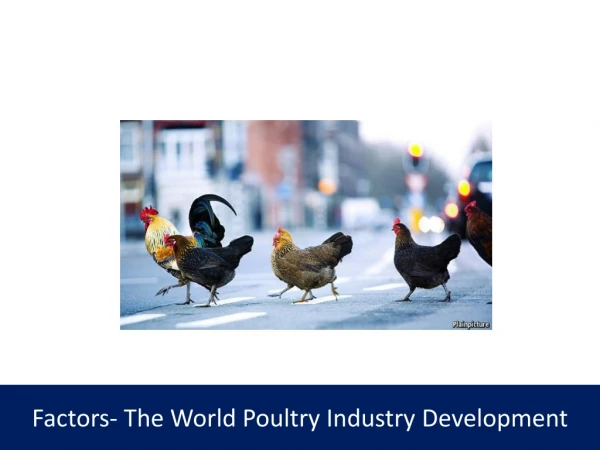 Factors- The World Poultry Industry Development