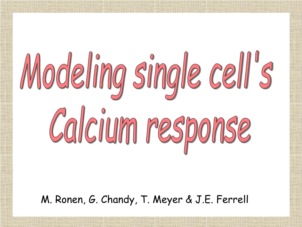 modeling single cell s calcium response