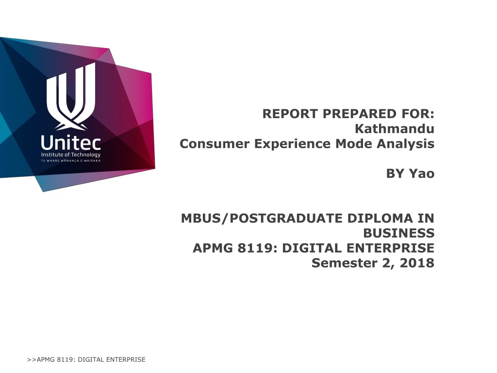 report prepared for kathmandu consumer experience