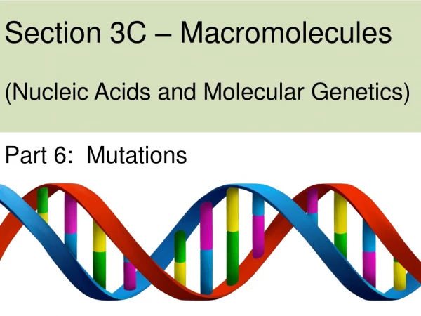 Section 3C – Macromolecules (Nucleic Acids and Molecular Genetics)