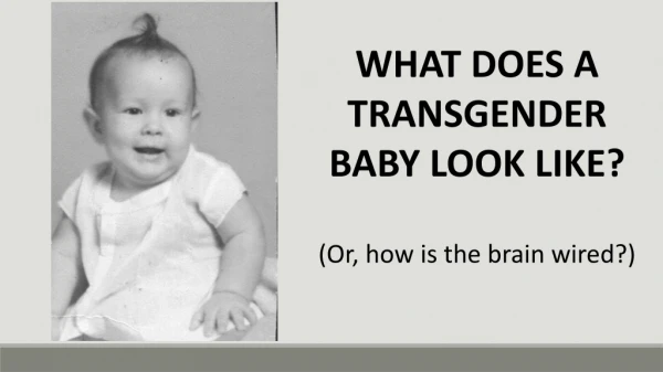 WHAT DOES A TRANSGENDER BABY LOOK LIKE? (Or, how is the brain wired?)