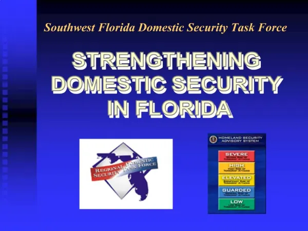 STRENGTHENING DOMESTIC SECURITY IN FLORIDA