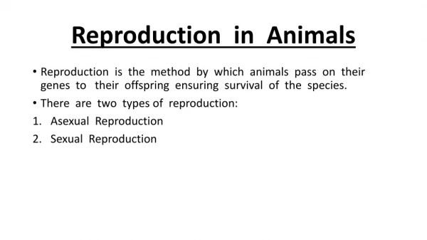 Reproduction in Animals