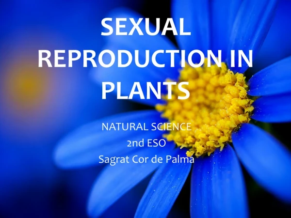 SEXUAL REPRODUCTION IN PLANTS