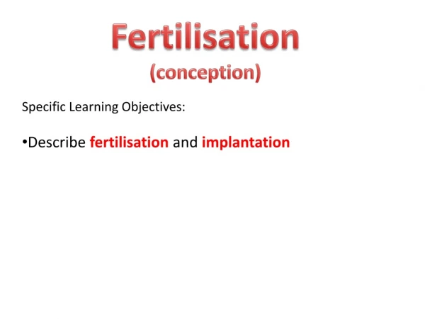 Fertilisation (conception)