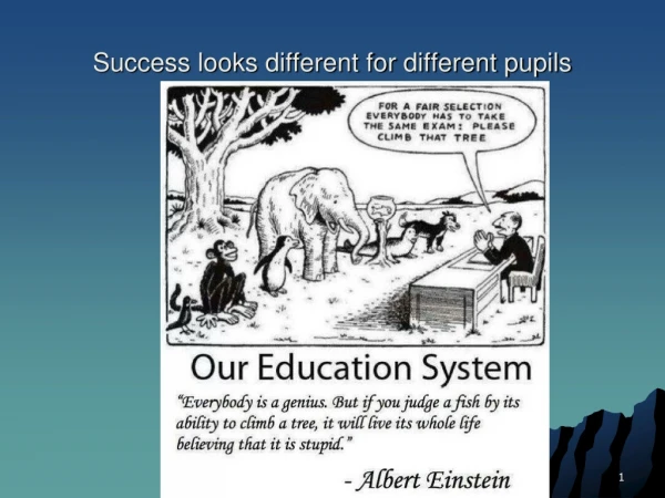 Success looks different for different pupils