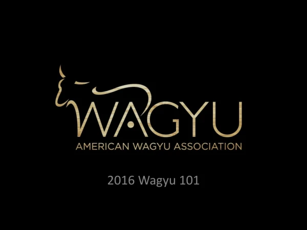 2016 Wagyu 101
