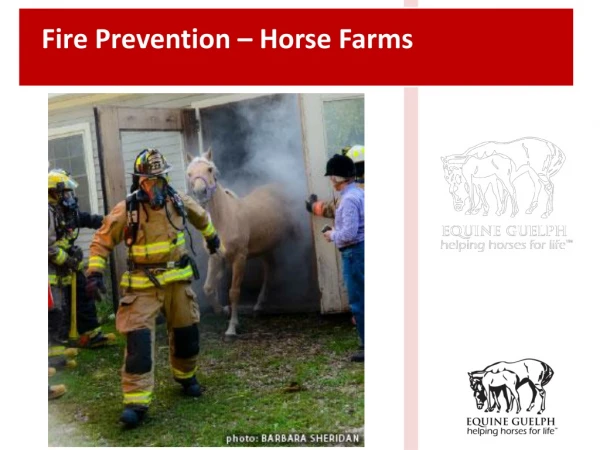 Fire Prevention – Horse Farms