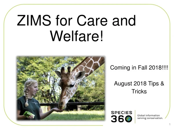 ZIMS for Care and Welfare!