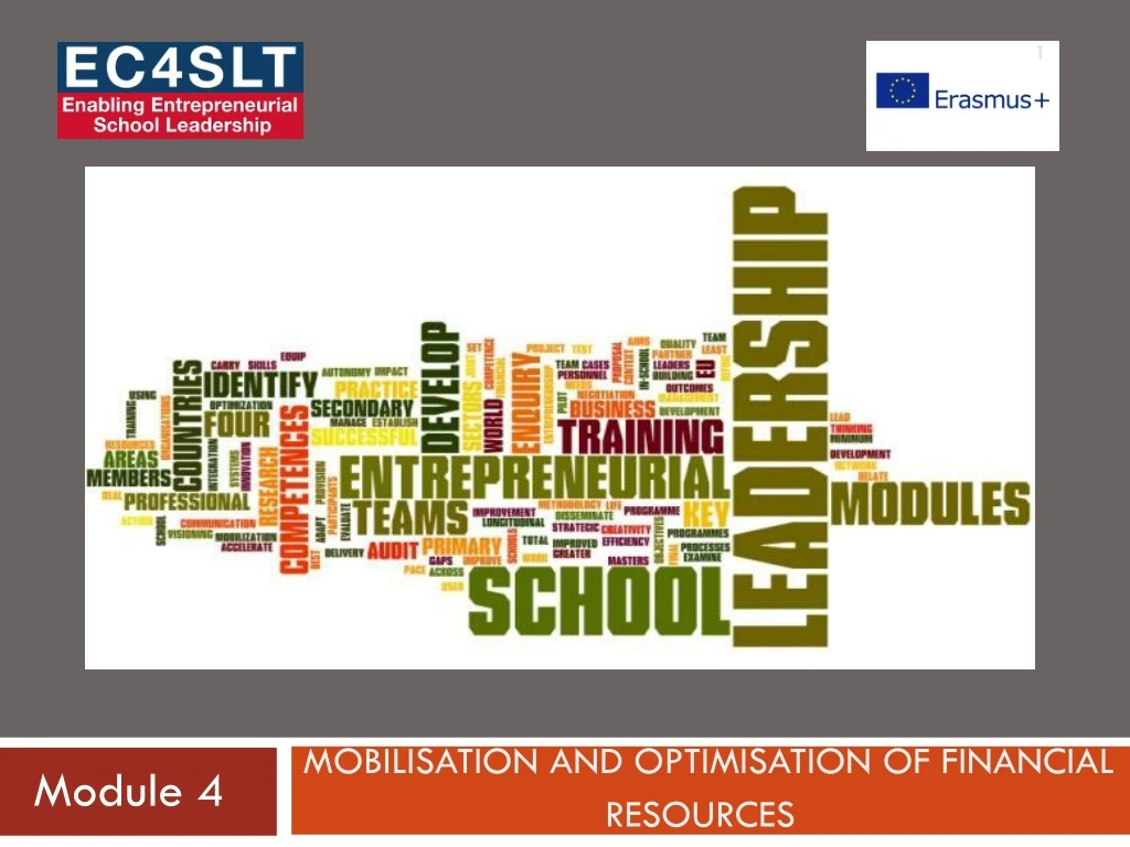 mobilisation and optimisation of financial resources