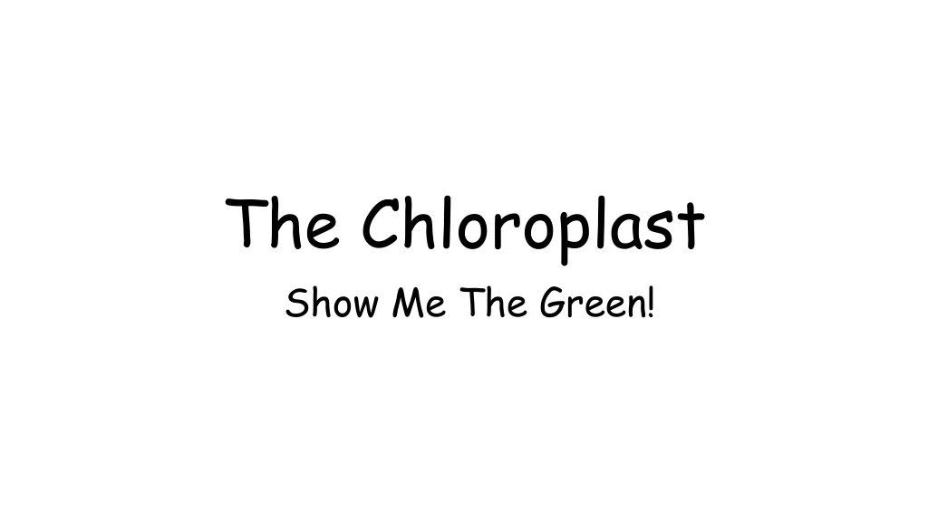 the chloroplast