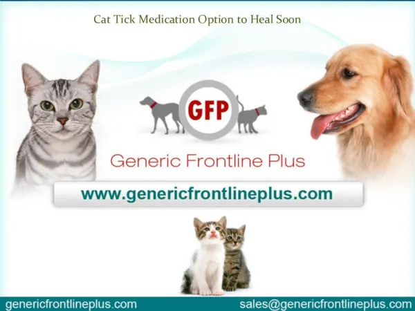 Cat Tick Medication Option to Heal Soon