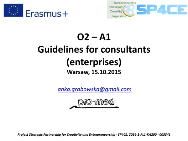 O2 – A1 Guidelines for consultants (enterprises) Warsaw, 15.10.2015