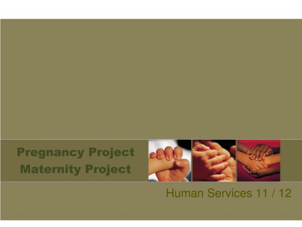 Pregnancy Project Maternity Project