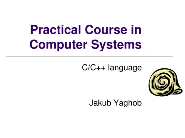 Practical Course in Computer Systems