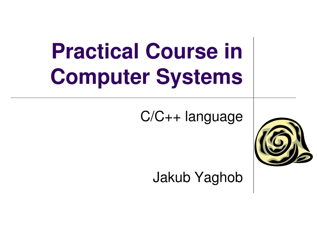 practical course in computer systems