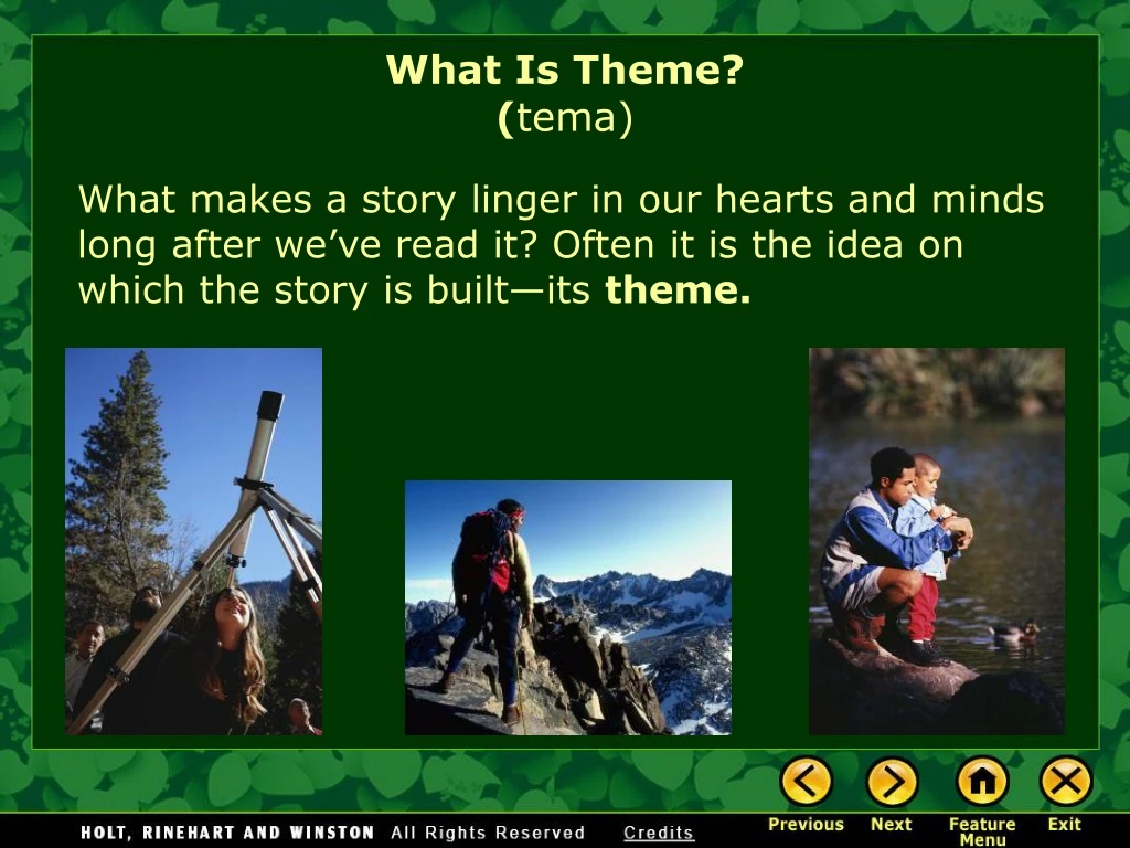 what is theme tema