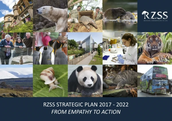 RZSS STRATEGIC PLAN 2017 - 2022 FROM EMPATHY TO ACTION