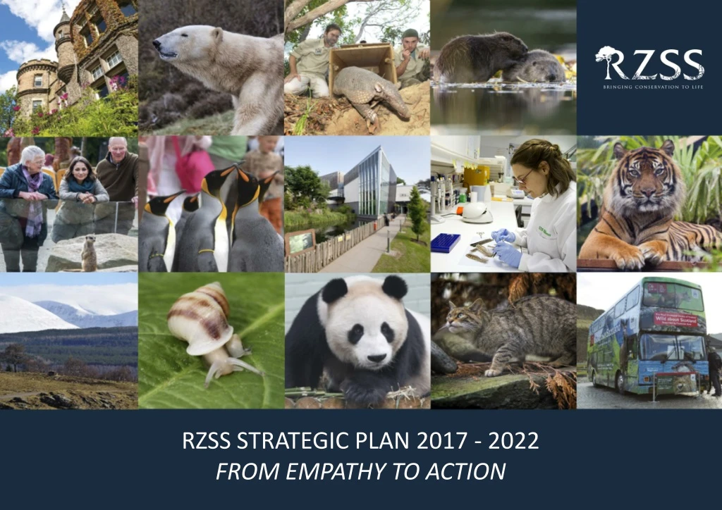 rzss strategic plan 2017 2022 from empathy