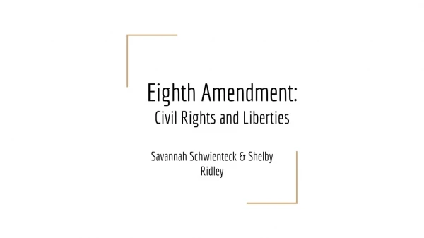 Eighth Amendment: Civil Rights and Liberties