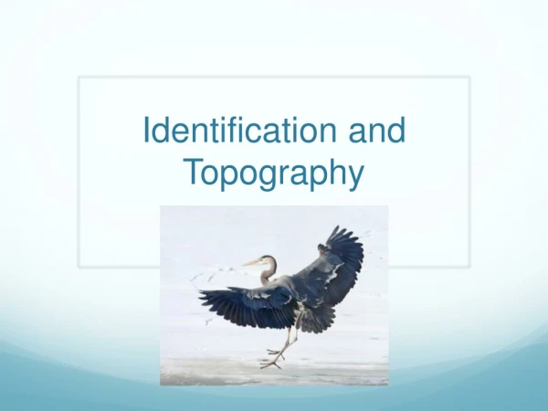 Identification and Topography