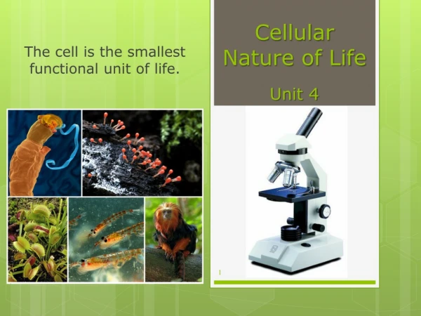 Cellular Nature of Life Unit 4