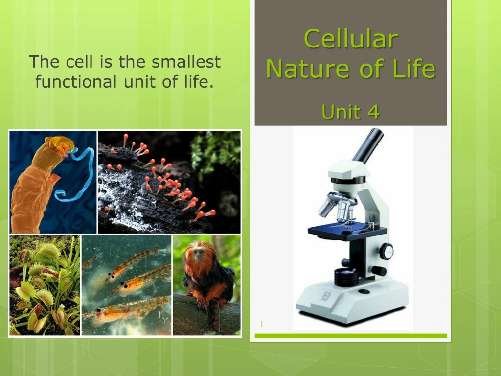 cellular nature of life unit 4