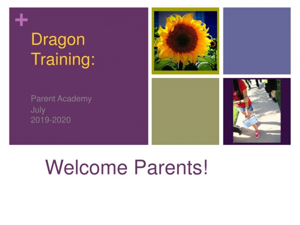 Dragon Training: