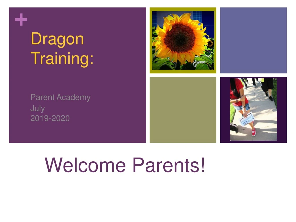 dragon training