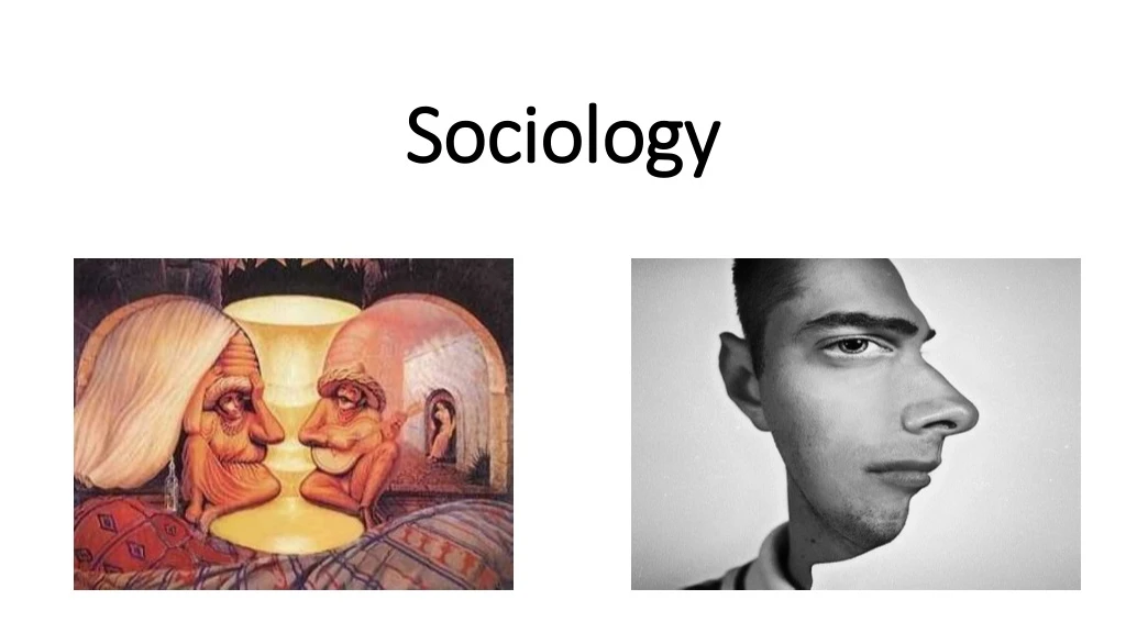 sociology