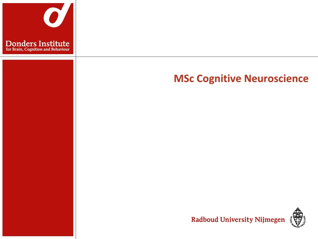 msc cognitive neuroscience