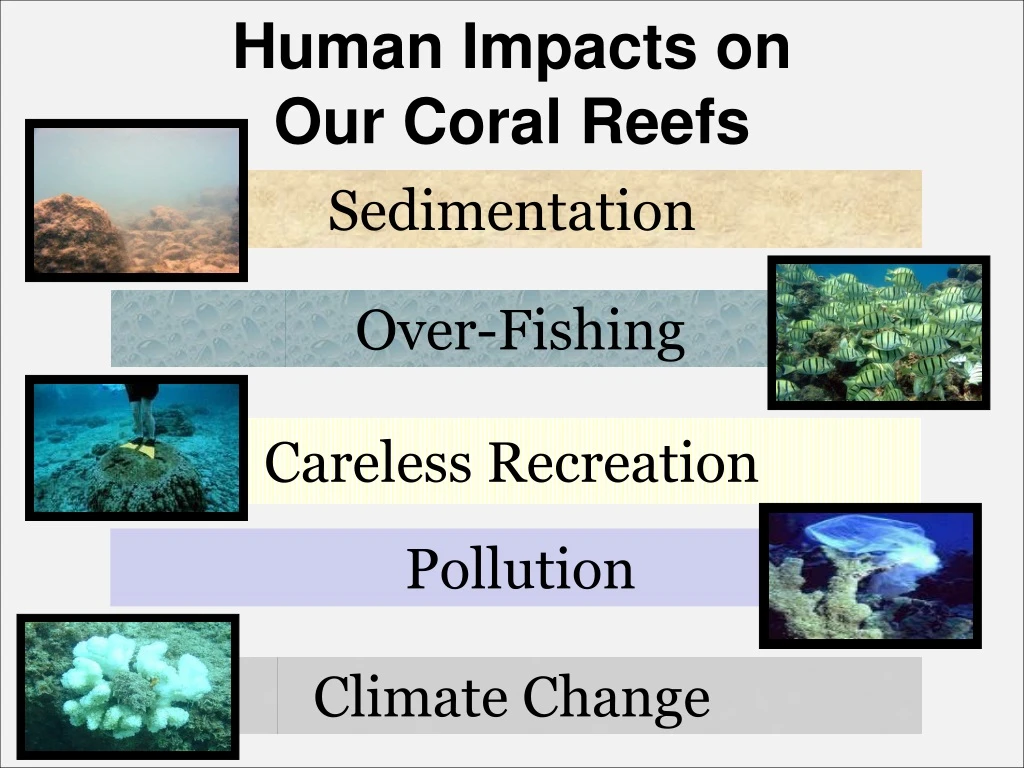 human impacts on our coral reefs