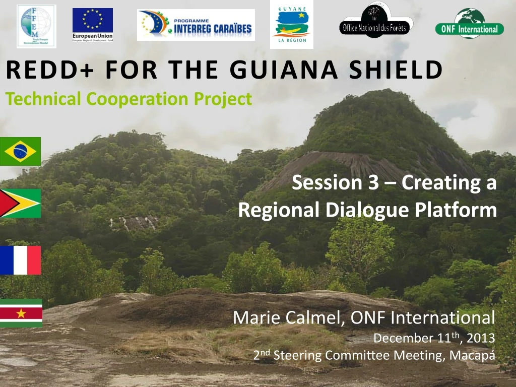 redd for the guiana shield technical cooperation project